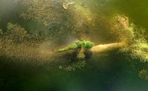 16_Soncelio sala. G.Norvaiso n.jpg